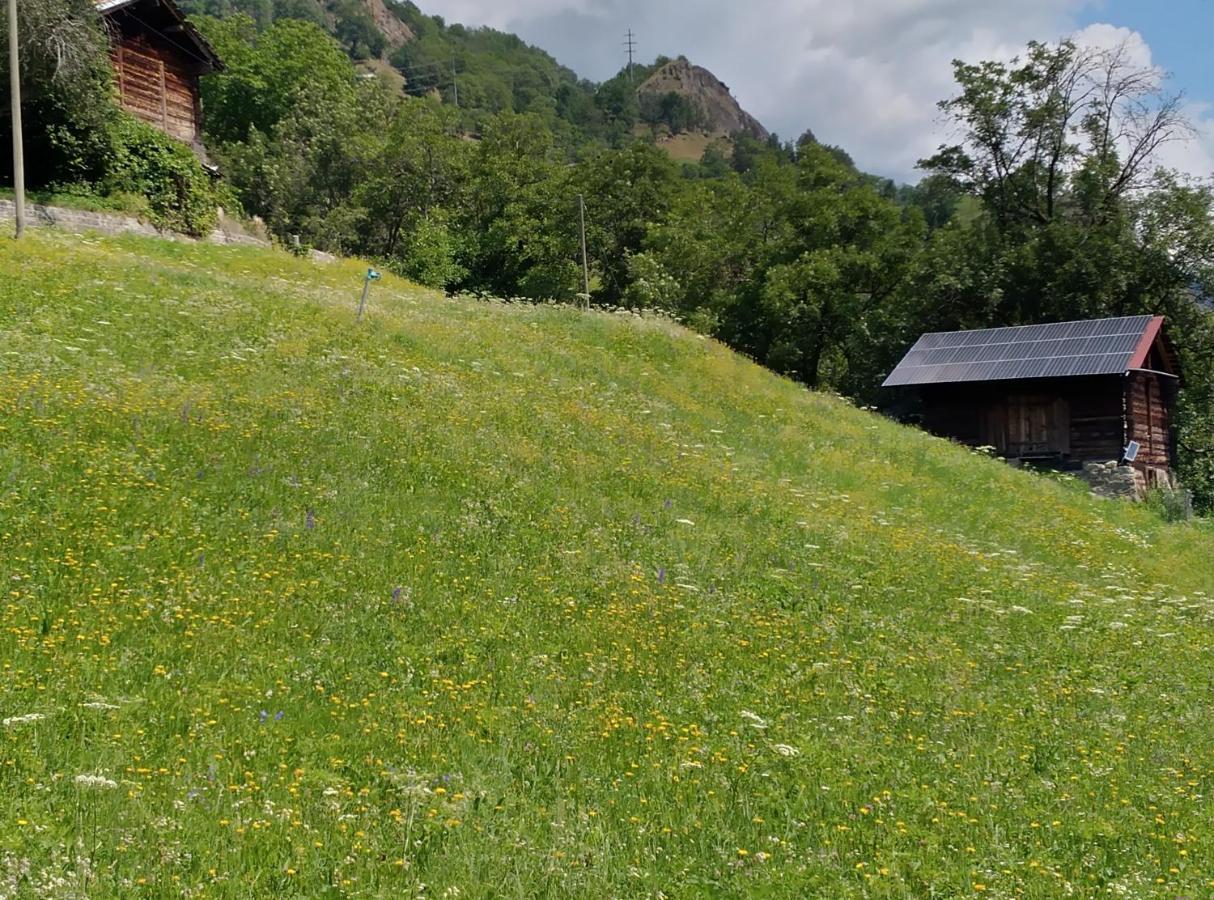Arve Villa Bitsch Екстериор снимка